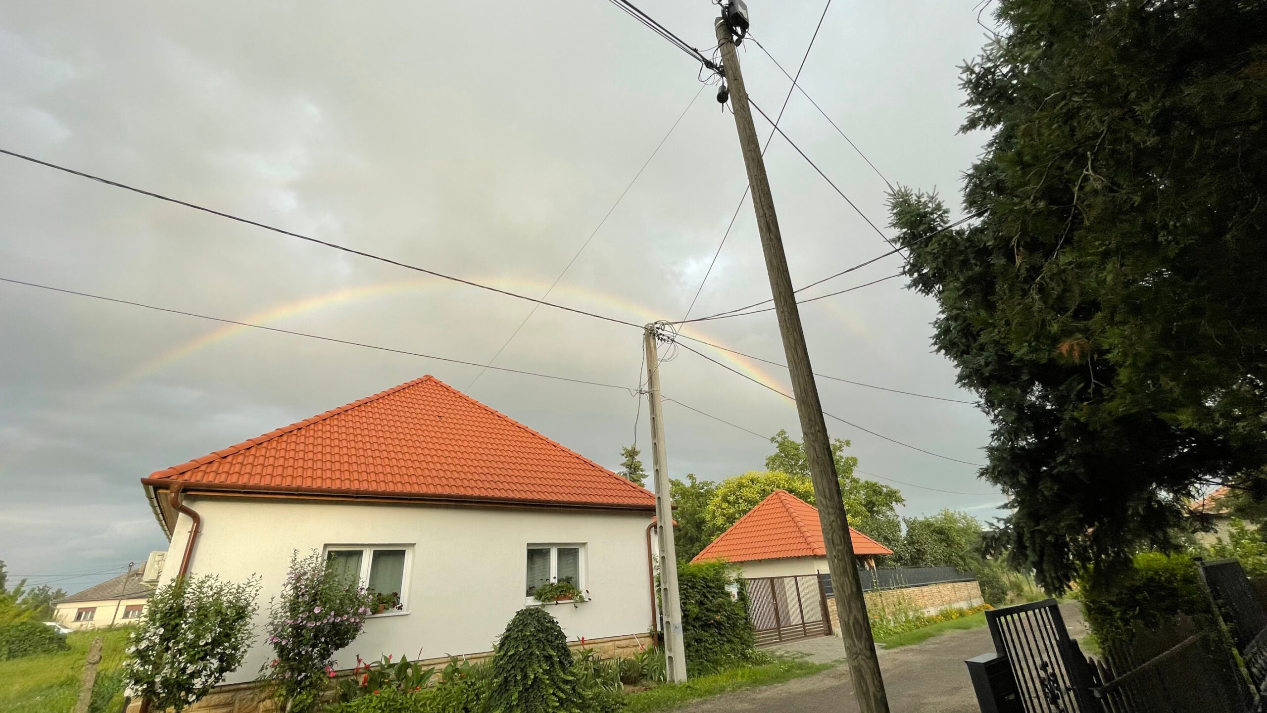 20230728_171801308_iOS